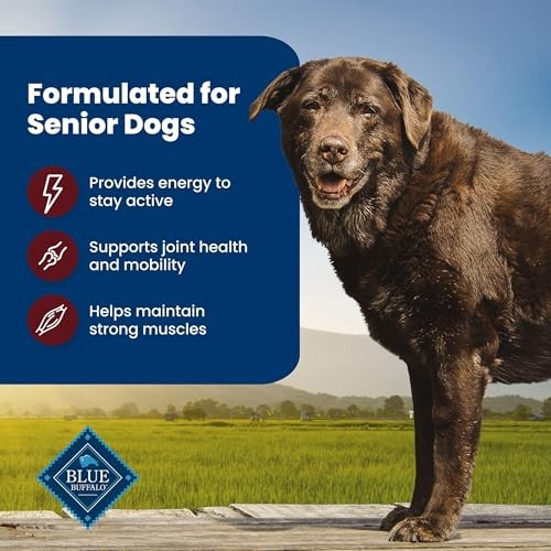 Blue Buffalo Life Protection Formula with LifeSource Bits, Senior 7+ Dry Dog Food, Beef and Brown Rice Recipe, Natural Food for Dogs, 15 Lb. Bag thumbnail