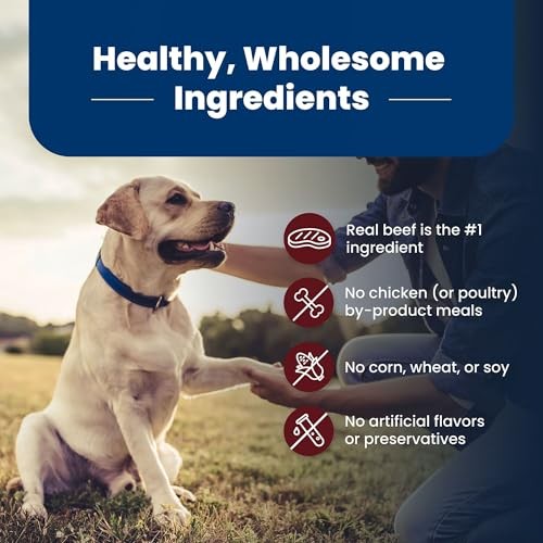 Blue Buffalo Life Protection Formula with LifeSource Bits, Senior 7+ Dry Dog Food, Beef and Brown Rice Recipe, Natural Food for Dogs, 15 Lb. Bag thumbnail