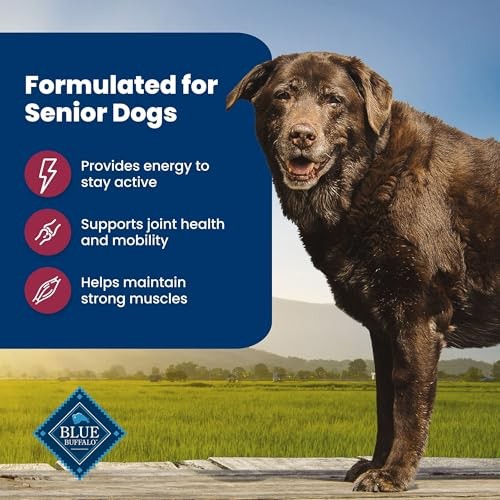 Blue Buffalo Life Protection Formula with LifeSource Bits, Senior 7+ Dry Dog Food, Salmon and Brown Rice Recipe, Chicken Free Formula, 15 Lb. Bag thumbnail