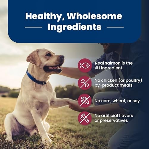 Blue Buffalo Life Protection Formula with LifeSource Bits, Senior 7+ Dry Dog Food, Salmon and Brown Rice Recipe, Chicken Free Formula, 15 Lb. Bag thumbnail