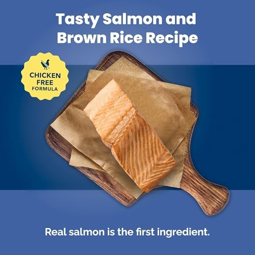 Blue Buffalo Life Protection Formula with LifeSource Bits, Senior 7+ Dry Dog Food, Salmon and Brown Rice Recipe, Chicken Free Formula, 30 Lb. Bag thumbnail