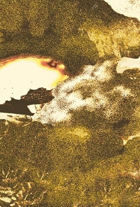 空の小屋 [DVD]