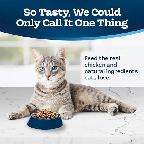 Blue Buffalo Tastefuls Adult Dry Cat Food Indoor Formula  Chicken & Brown Rice Recipe  22-lb Bag thumbnail