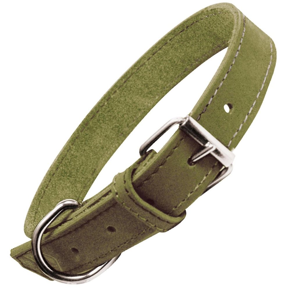 Dog Collar Gloria Oasis Green (50 X 2,1 Cm)