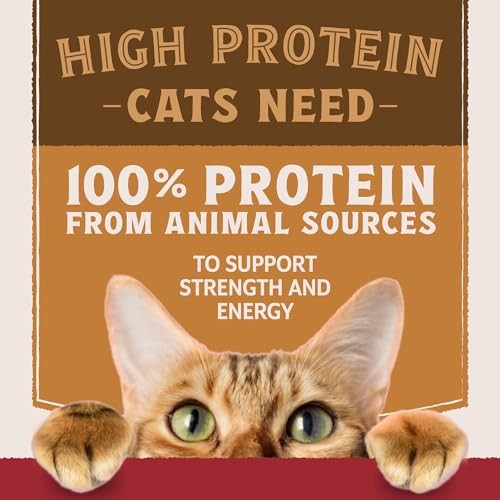 Natural Balance Ultra Protein Wet Cat Food, Chicken & Duck Recipe in Broth, 2.8 Oz (Case of 12) thumbnail