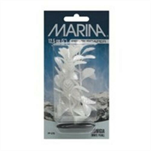 Pearlscaper Red Ludwigia, White 5 Inch, by Marina