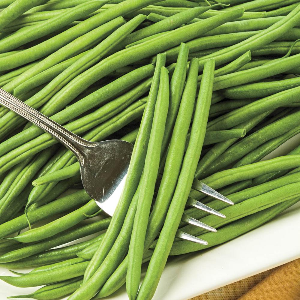 Gurney's Bush Bean Flavor Sweet (2 Oz. Seed Packet)