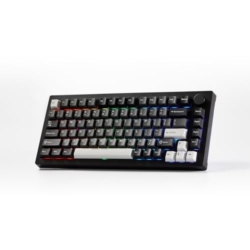 Akko 5075 V3 Black & Silver Gaming Keyboard, 75% Multi-Modes Gasket Mount Mechanical Keyboard Programmable with RGB Backlit Hot-swappable Frost Pink S