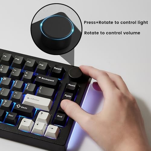 Akko 5075 V3 Black & Silver Gaming Keyboard, 75% Multi-Modes Gasket Mount Mechanical Keyboard Programmable with RGB Backlit Hot-swappable Frost Pink S thumbnail