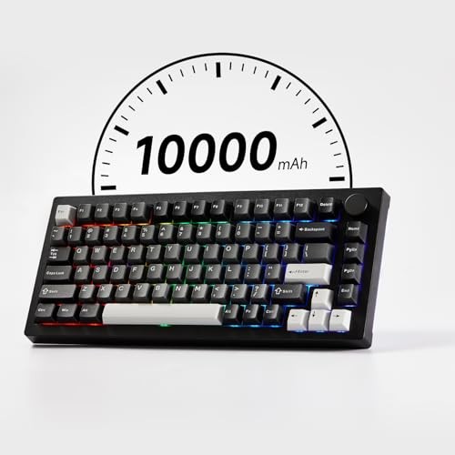 Akko 5075 V3 Black & Silver Gaming Keyboard, 75% Multi-Modes Gasket Mount Mechanical Keyboard Programmable with RGB Backlit Hot-swappable Frost Pink S thumbnail