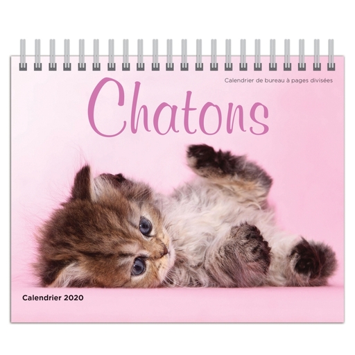 Chatons 2020 7.5 X 6 Inch Monthly Double-View Desk Calendar, Cats Pets Feline Cat Family (French Edition)