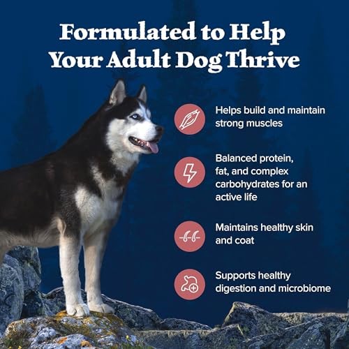 Blue Buffalo Wilderness High Protein Grain Free Dry Food for Adult Dogs, 34% Protein, with Salmon, 34 Lb. Bag thumbnail
