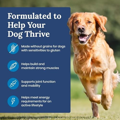 Blue Buffalo Life Protection Formula Natural Grain Free Adult Dry Dog Food, with Chicken and Potatoes, 11 Lb. Bag thumbnail