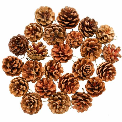 Aneco 24 Pieces Christmas Pine Cones Natural Pinecones Ornament with String Pend