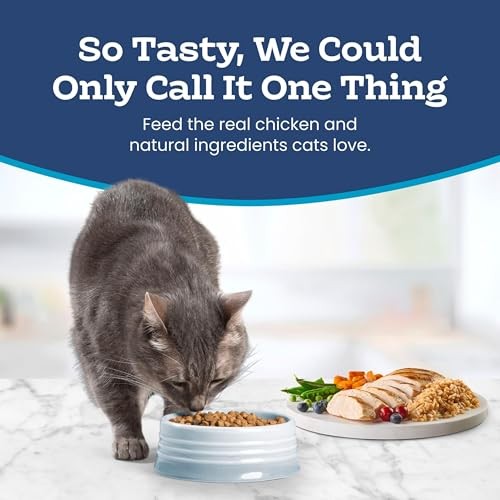 Blue Buffalo Tastefuls Natural Dry Food for Adult Indoor Cats, Chicken & Brown Rice Recipe, 22-lb. Bag thumbnail