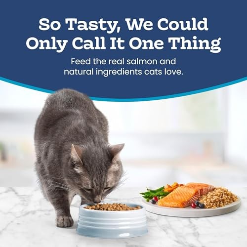 Blue Buffalo Tastefuls Natural Dry Food for Adult Indoor Cats, Salmon & Brown Rice Recipe, 22-lb Bag thumbnail