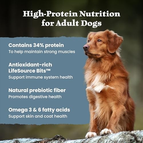 Blue Buffalo Wilderness with Chicken High Protein Grain Free Dry Food for Adult Dogs, 34% Protein, Supports Immunity with Antioxidant-Rich LifeSource  thumbnail
