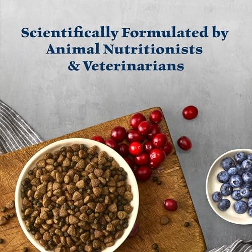 Blue Buffalo Wilderness with Chicken High Protein Grain Free Dry Food for Adult Dogs, 34% Protein, Supports Immunity with Antioxidant-Rich LifeSource  thumbnail