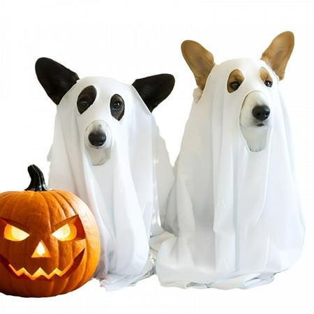 TELOLY 2026 New Halloween Ghost Dog Costume White Ghost Costumes for Dogs and Cats Halloween Trick or Treat Party Cosplay for Dogs (29 X 47 Inches)