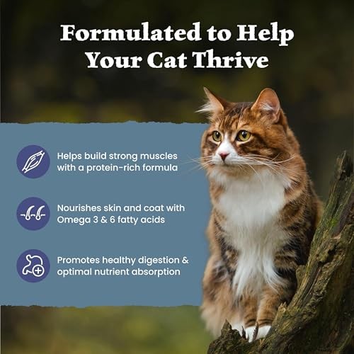 Blue Buffalo Wilderness High Protein Grain Free Dry Food for Adult Cats, 40% Protein, with Chicken, 15 Lb. Bag thumbnail