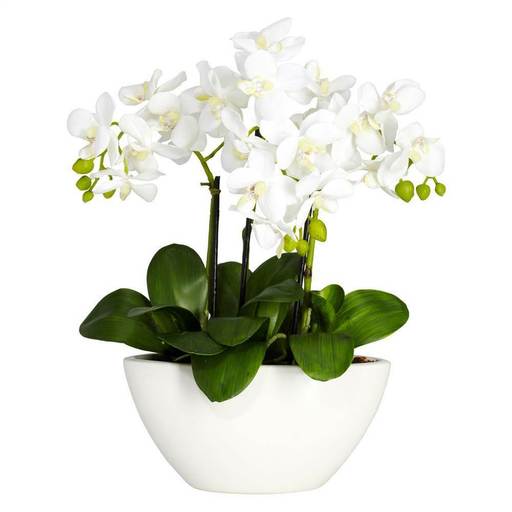 Phalaenopsis Silk Flower Arrangement [ID 126301]