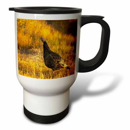 3drose  Usa  New Mexico Wildlife Refuge. Closeup of Female Wild Turkey.  14oz Stainless Steel Travel Mug