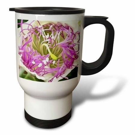 3drose  Caper Flower Blossom Botanical Art  14oz Stainless Steel Travel Mug