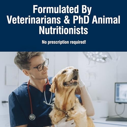 Blue Buffalo True Solutions Digestive Care Formula Wet Dog Food for Adult Dogs, Chicken Recipe, 12.5 Oz. Cans, 3 Count thumbnail