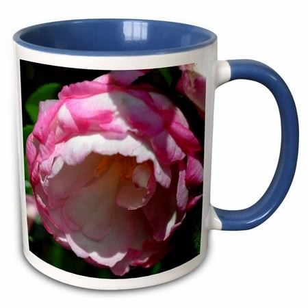 3drose  a White and Pink Cupped Camellia Flower  15oz Two-tone Blue Mug