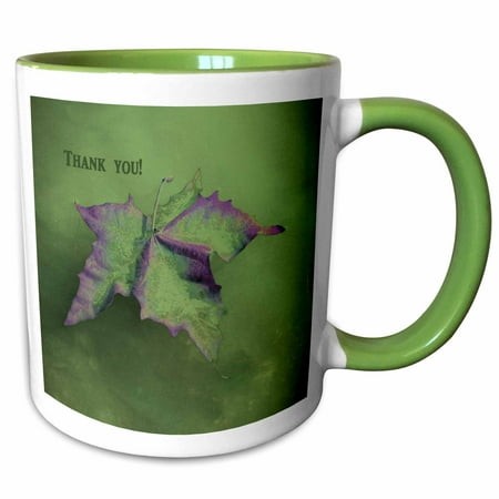 3drose  Elegant Maple Leaf Thank You  Moss Green and Purple  11oz Two-tone Green Mug