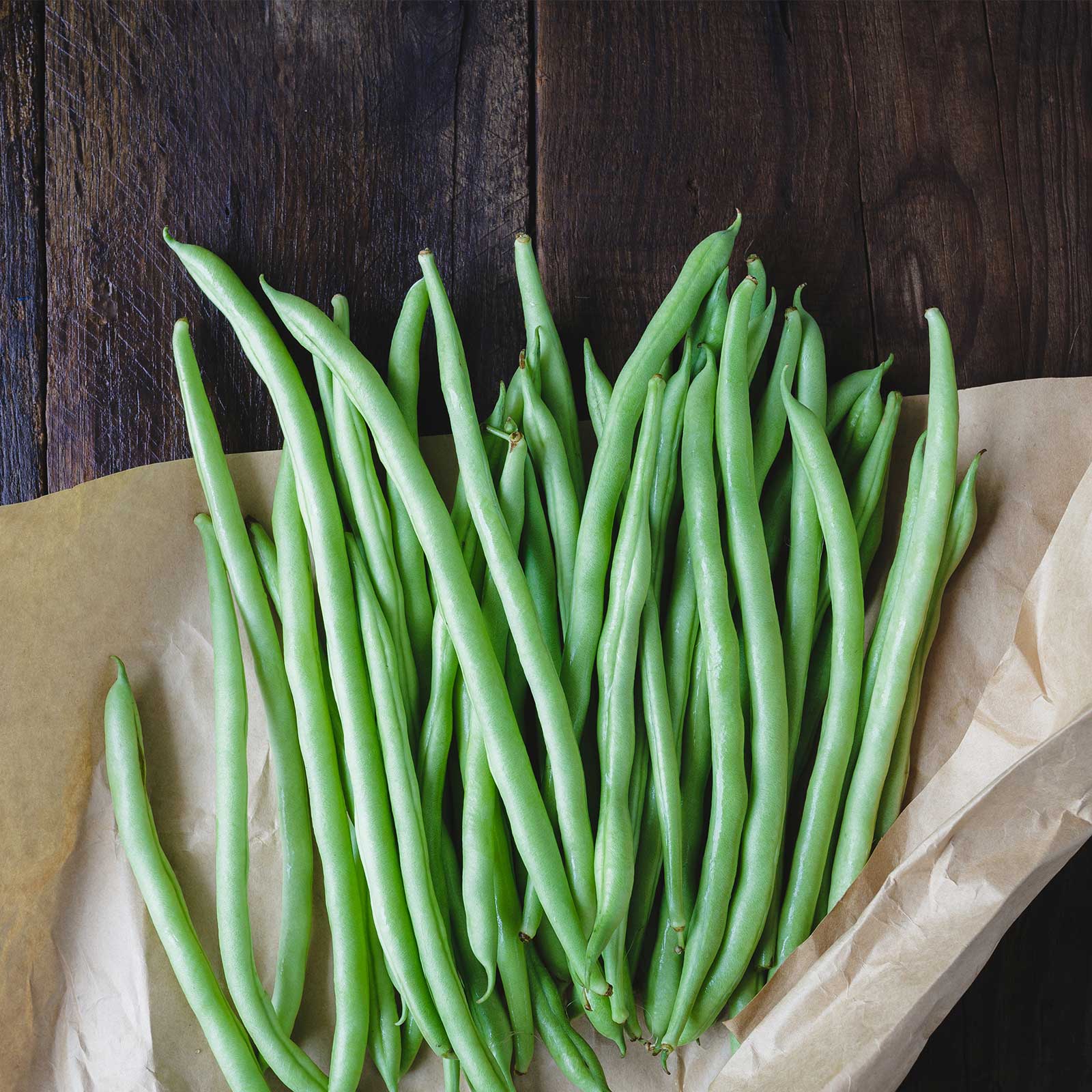 Blue Lake Bush Bean 274 Seeds - 1 Lbs - Non-GMO  Heirloom  Open Pollinated - Vegetable Garden Seeds - Green String Beans