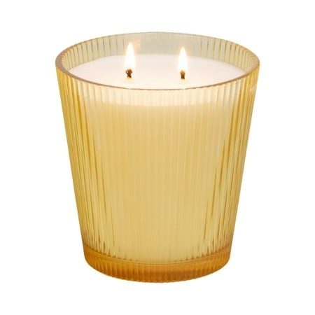 Better Homes & Gardens Fine Fragrance Collection  Sunshine Daisy Scented 2-Wick Jar Candle 16 Oz