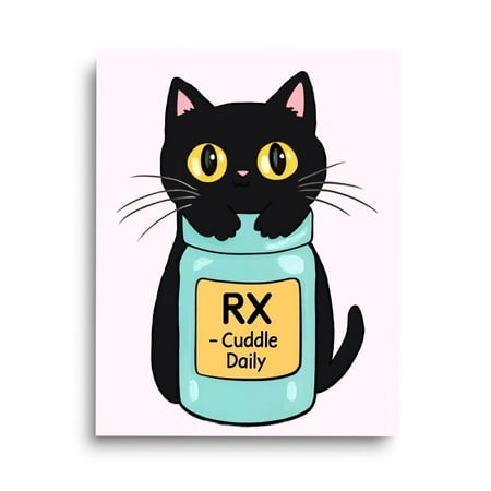 Black Cat Print  Cat Wall Art  Quirky Pet Lover Decor  Cute Kitten Poster  Prescription Cat Artwork  Playful Feline Home Decor #3439  Stretched Canvas
