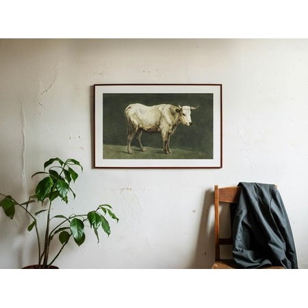Farm Bull Country Wall Art  Unframed Paper Print Size 8x12