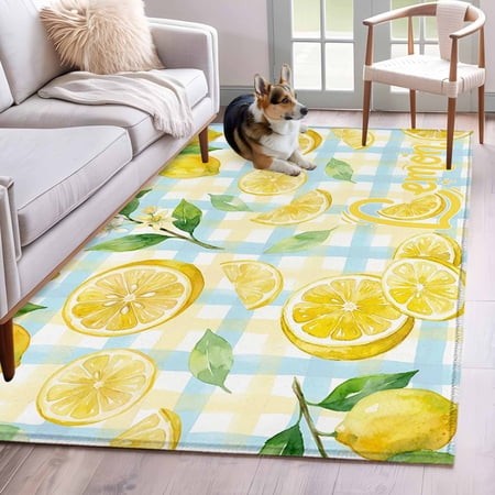 Rectangle Area Rugs 4 X 6 Ft  Watercolor Lemons Non-Slip Residential Carpet  Summer Blue Yellow Buffalo Plaid Indoor Crawling Mats Runner Rugs for Liv