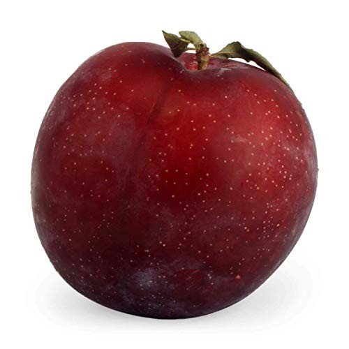 Pluot