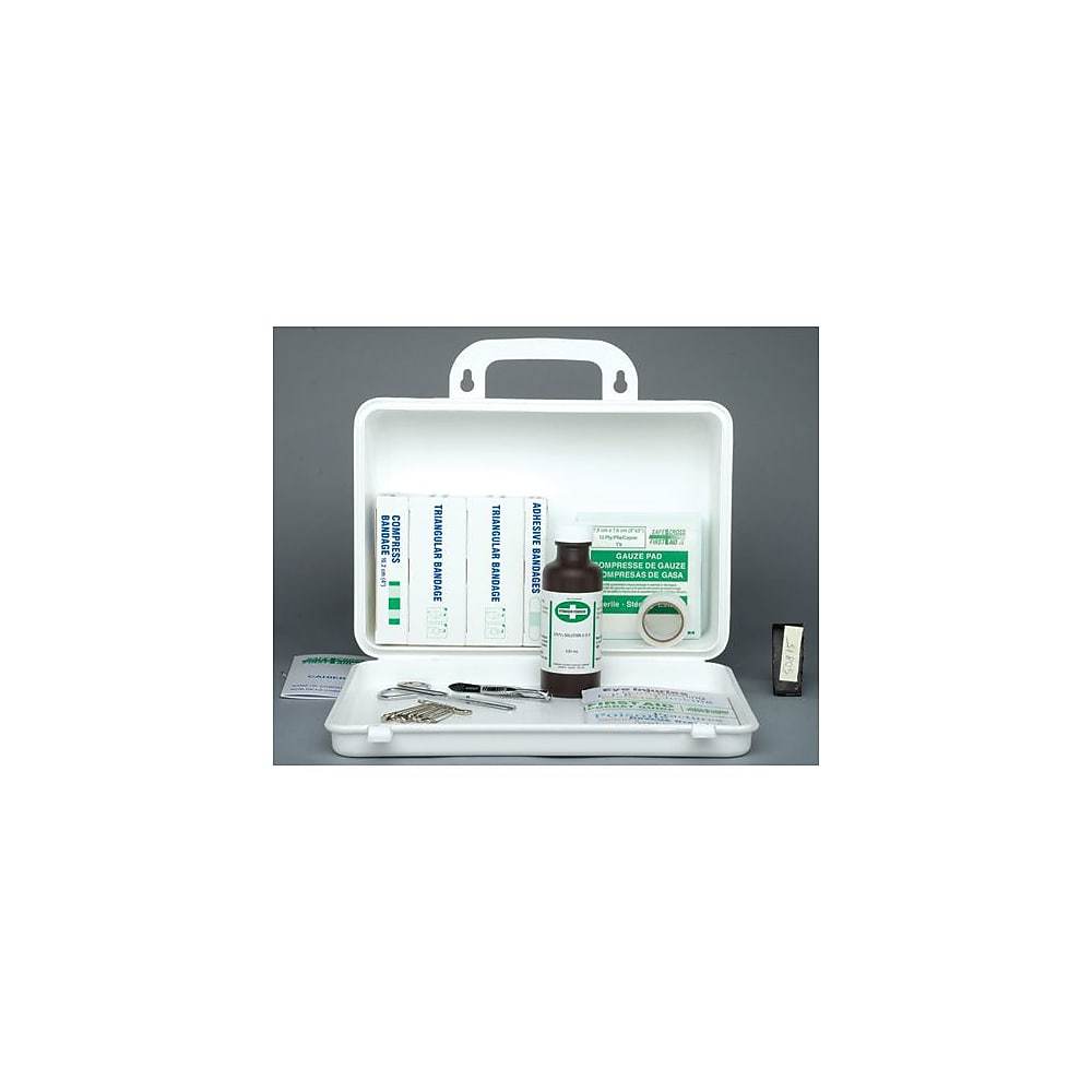 Safecross â€“ Trousse De Premiers Soins Terre-Neuve-et-Labrador 19 Pochettes Moy Promo, 6/paquet (50848 B), Paquet De 6