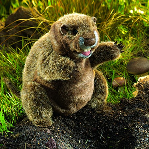 Folkmanis Groundhog Hand Puppet thumbnail