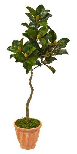 Magnolia Artificial Tree in Orange Planter [ID 3916781]