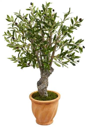 3 Ft. Olive Artificial Tree in Terracotta Planter [ID 3805021]