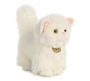 Miyoni - Persian Kitten 9.5