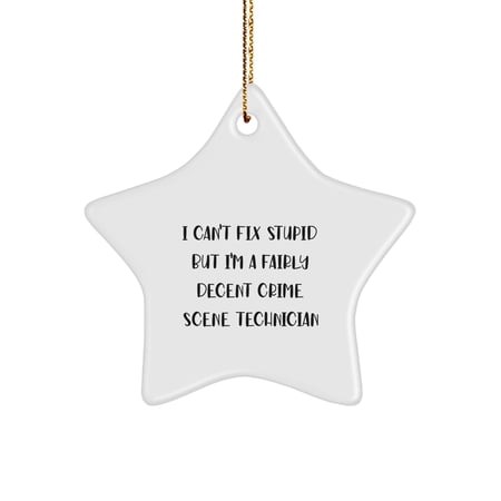 Funny Crime Scene Technician Gifts for Men - I M a Fairly Decent Star Ornament for Christmas Unique Presents from Family or Friends