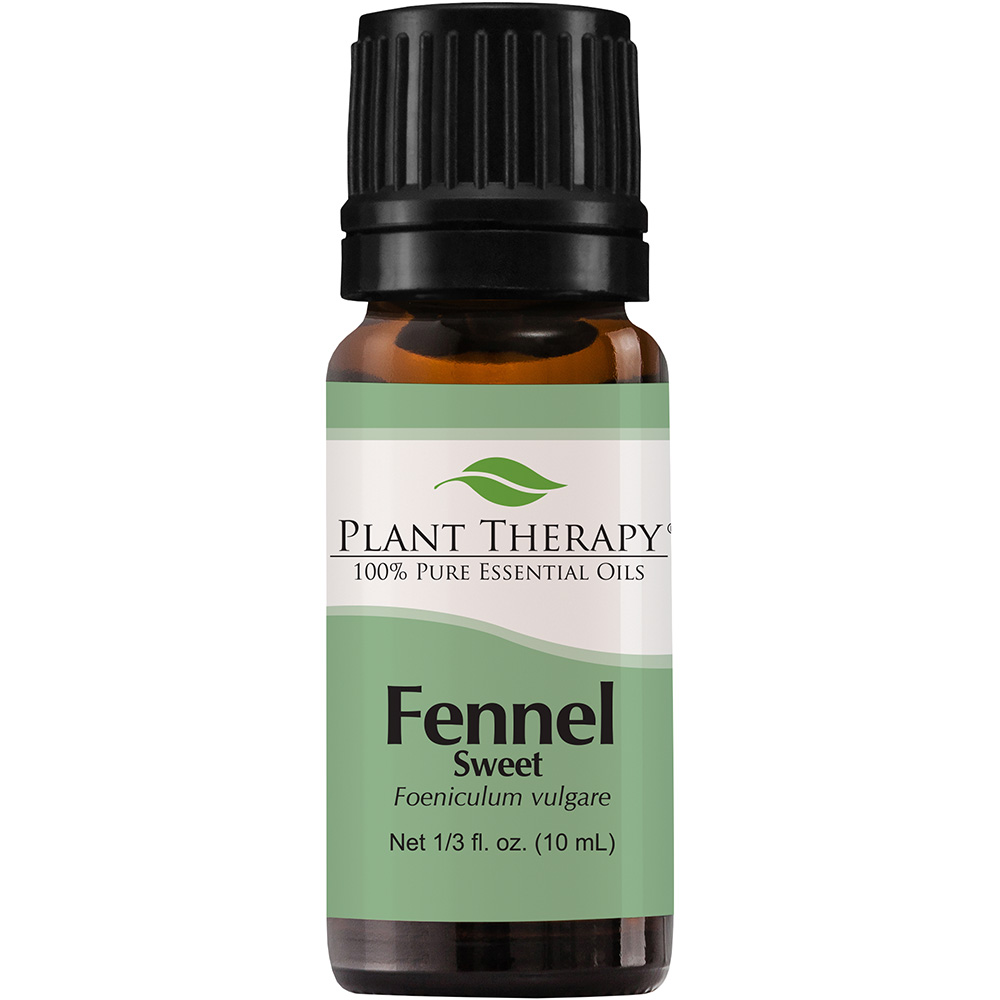 Plant Therapy Sweet Fennel Essential Oil 10 ML (1/3 Oz) 100% Pure  Undiluted  Natural Aromatherapy