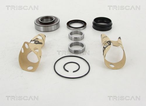 Radlagersatz Triscan 8530 13281