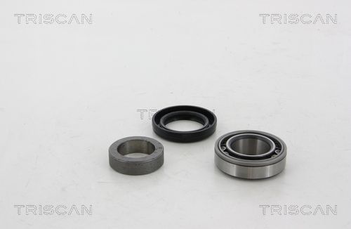 Radlagersatz Triscan 8530 10273
