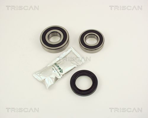 Radlagersatz Triscan 8530 14205