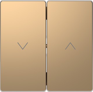 Vippa/centrumplatta Strmstllare Vipp Merten MEG3855-6051 Champagne 1 St