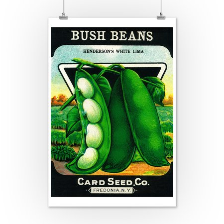 Bush Beans Seed Packet (12x18 Art Print, Wall Decor Travel Poster)
