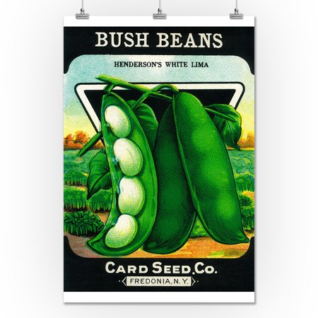 Bush Beans Seed Packet (24x36 Giclee Gallery Print, Wall Decor Travel Poster)