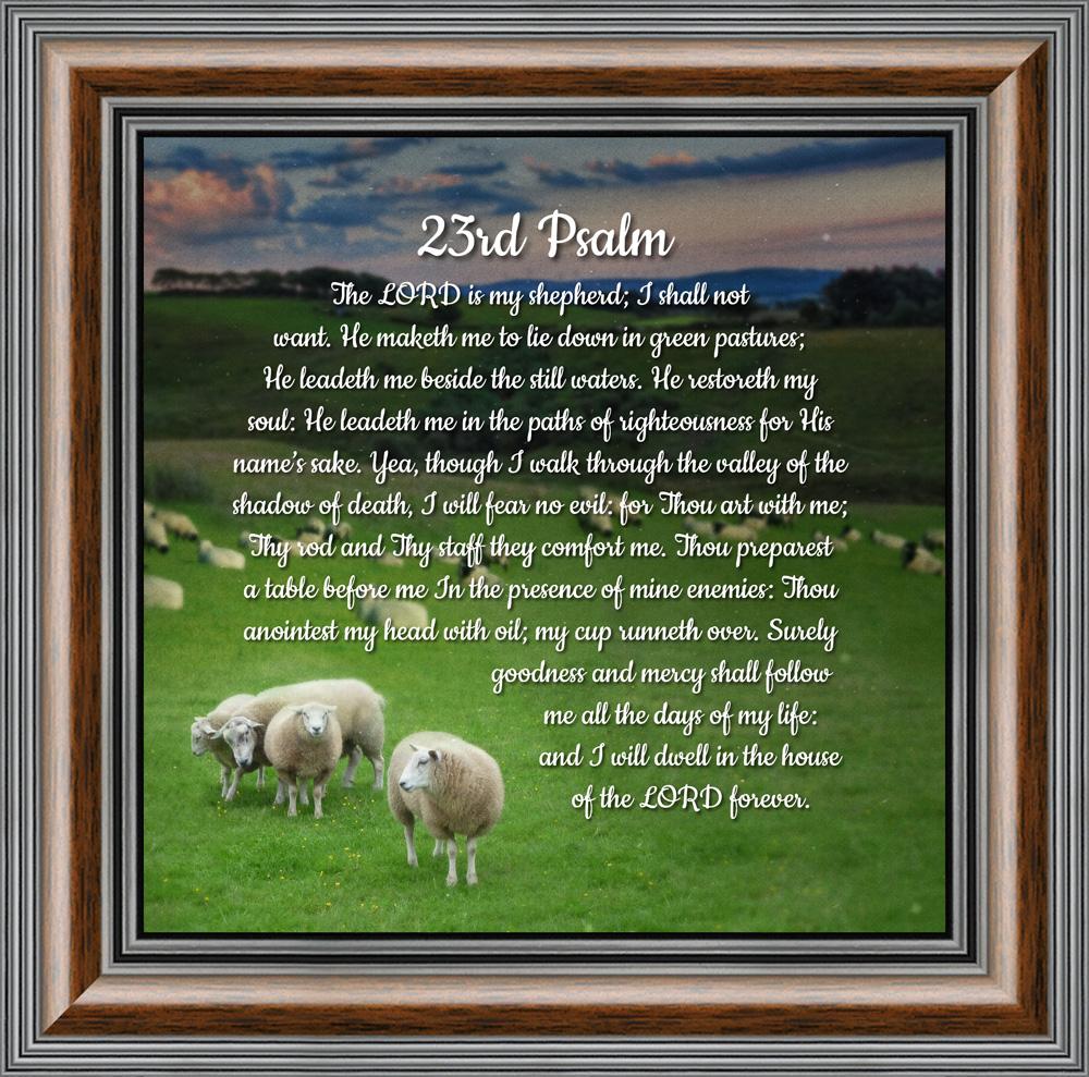 23rd Psalm  Framed Bible Verse from Psalms  Comfort and Encouragement for the Hurting 8x8 8654